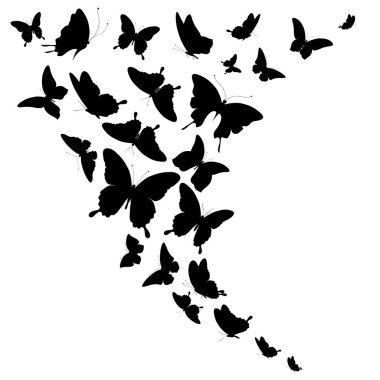 Beyaz arka planda bir grup siyah kelebek, bahar konsepti 