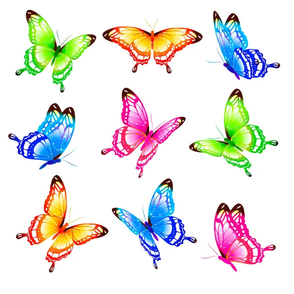 Mariposas Colores Brillantes Aisladas Sobre Fondo Blanco Concepto Primavera —  Fotos de Stock