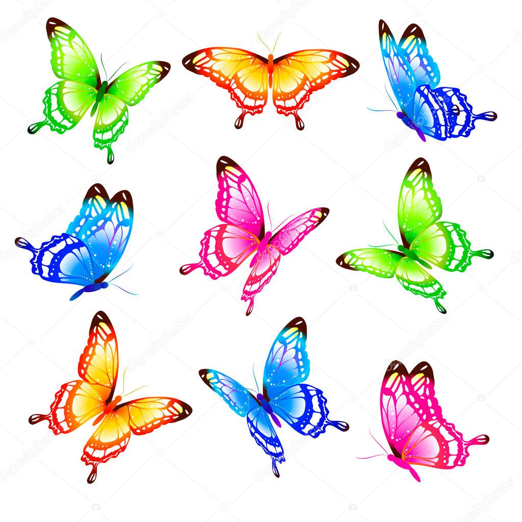 bright colorful butterflies isolated on white background, spring concept 