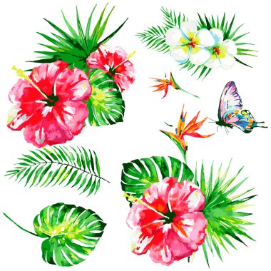 Palmiye yapraklı desen ve beyaz arka planda izole edilmiş kelebekli tropik çiçekler.