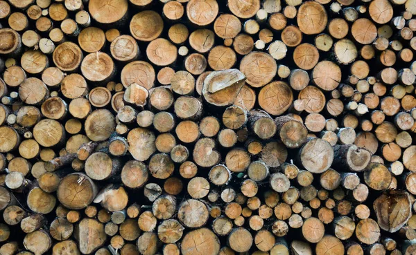 堆放木柴的纹理照片 木制原木被折叠起来 表现出一种有趣的纹理 — 图库照片