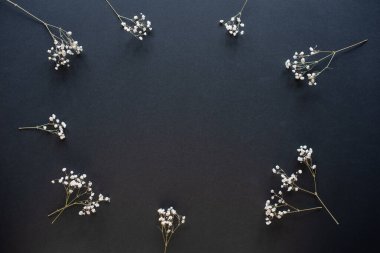 Kurumuş çiçeklerin küçük dalları etrafa saçılmış. alt siyah arkaplan