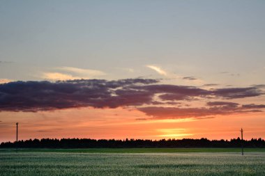 Günbatımında yeşil alan ve kızıl gökyüzü. Güç hattı alandan geçiyor..