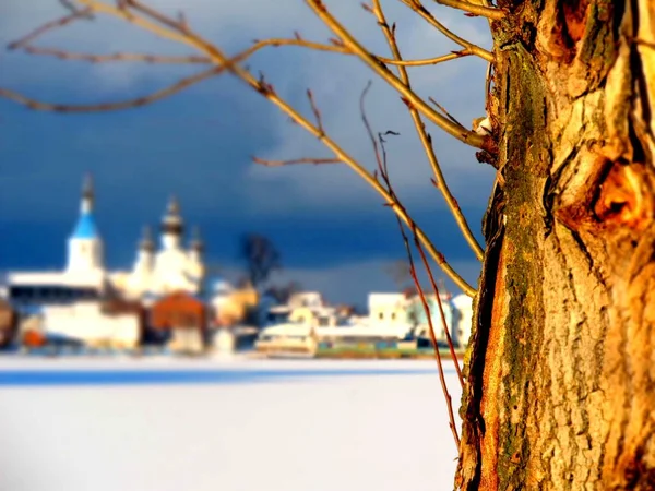 Close Tronco Zhereva Fundo Uma Cidade Borrada Uma Igreja Inverno — Fotografia de Stock