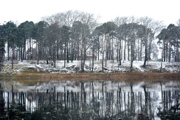 Ein Fluss Dessen Ufern Ein Kiefernpark Liegt Früher Winter Etwas — Stockfoto