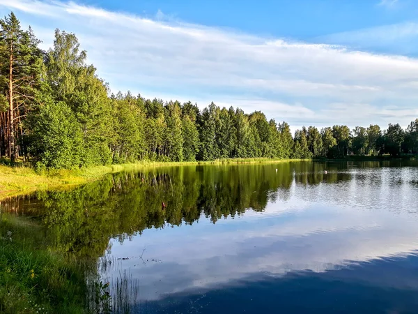 Yansıtılmış mavi orman gölü yakınlarda büyüyen ateşlerin yansıdığı.