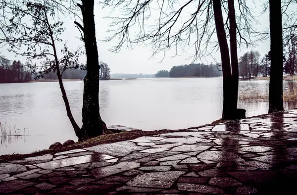 Caminho Pavimentado Pela Chuva Parque Com Lago — Fotografia de Stock