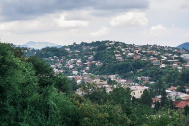 Ağaçları ve bir sürü evi olan tepelik bir şehir. Georgia