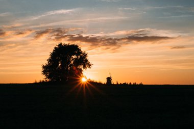Gün batımı ışığında tarla, Ufuk değirmeninde görülebilen yalnız bir ağaç..