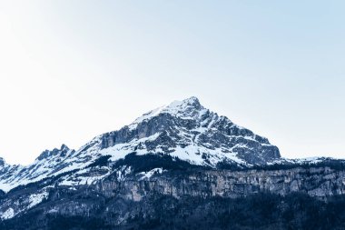Karla kaplı dağın eteklerinde sık bir orman var.