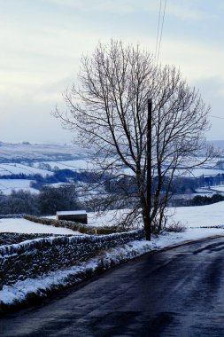 Kışın Yorkshire kırsalının manzarası