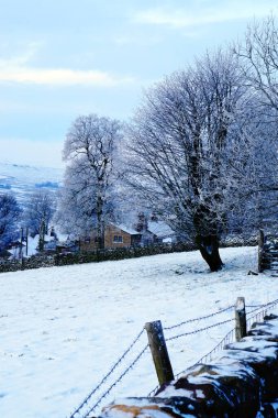 Kışın Yorkshire kırsalının manzarası