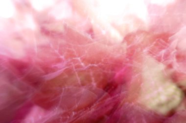 Güzel kırmızı gül yaprağı arka planı.