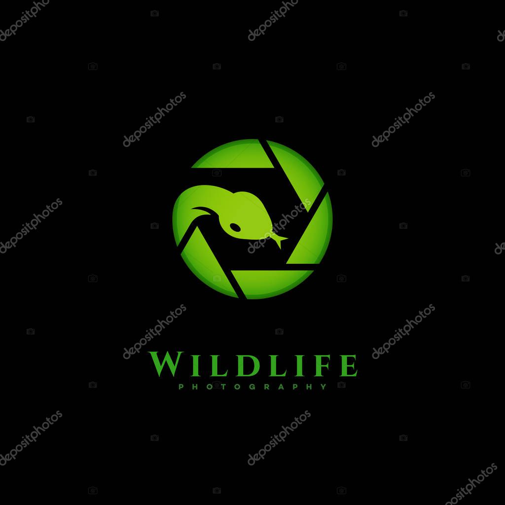 Wildlife photography logo template design. Vector illustration.