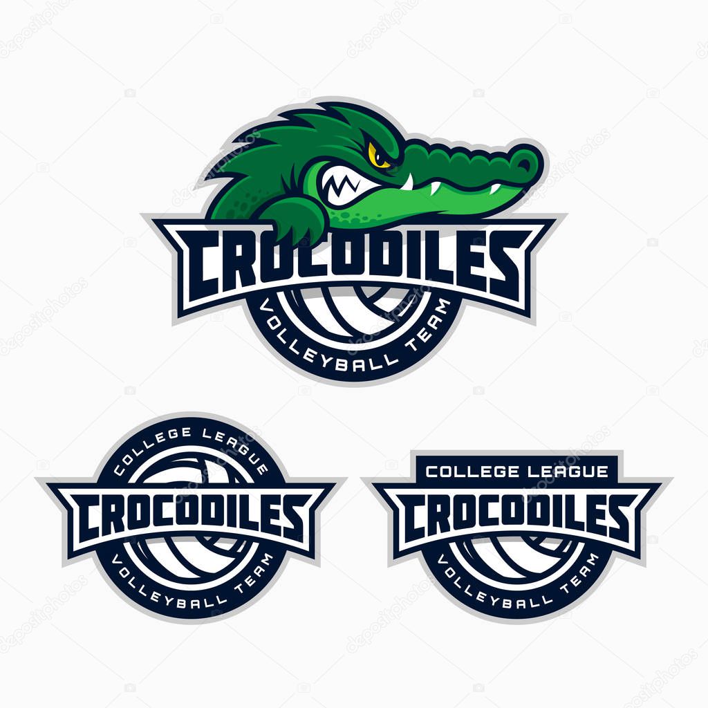 Set of crocodile mascot for a volleyball team. Vector illustration.