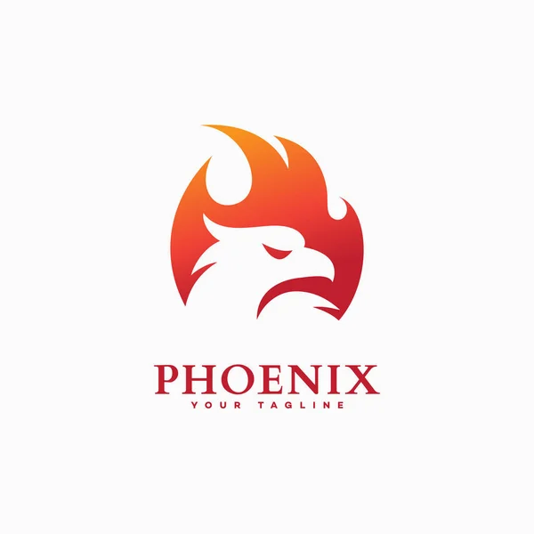 Phoenix logo template — Stock Vector