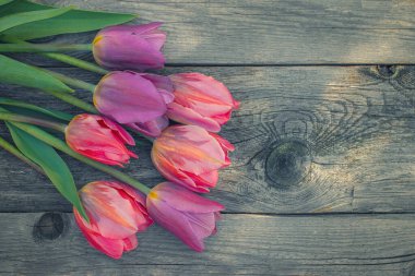 Eski tahtalarda laleler