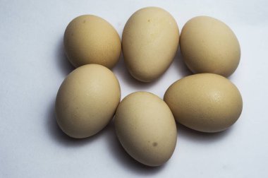 Kerala lezzetli yumurtalar, organik ve taze