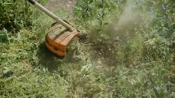 Lento movimento moderno cortador de laranja com detalhe preto corta grama verde perto e levanta nuvens de poeira. Conceito trabalhos domésticos ao ar livre — Vídeo de Stock