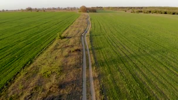 Twee jongens en een jonge vrouw rennen langs landweg tussen landbouwvelden — Stockvideo