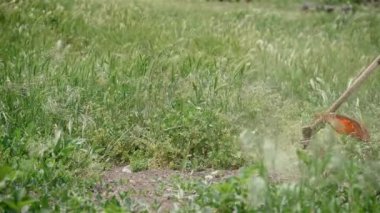 Profesyonel bahçıvan elektrikli fırça makasıyla evde çim biçiyor.