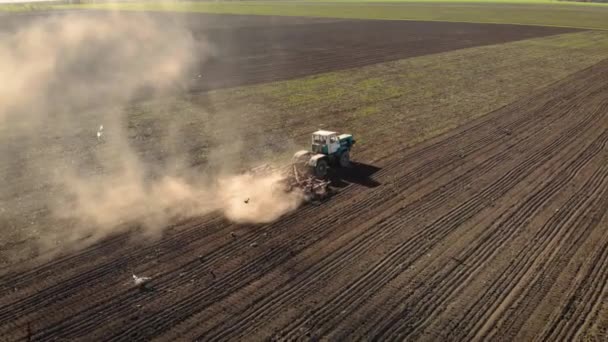 Following powerful tractor plowing and ploughing field at sunset with flying birds around — Stock Video