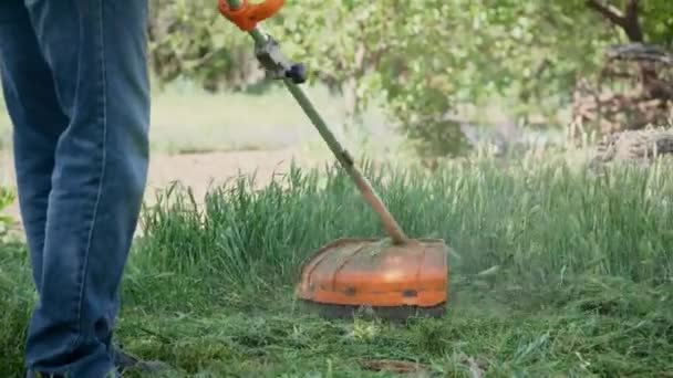 여름에 정원에서 잔디를 깎는 전기 잔디깎는 기계 — 비디오