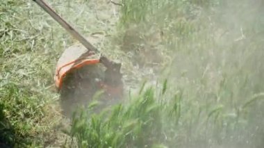 Siyah detay taşıyan modern turuncu budama makinesi yeşil çimleri biçer ve toz bulutları oluşturur. Açık hava ev işi kavramı