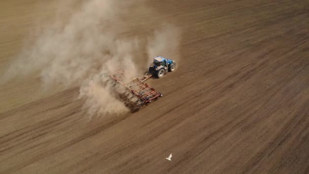 Trator de visão aérea lavoura campos e preparação de área arável para semear culturas na indústria de alimentos e grandes aves brancas voando ao redor — Vídeo de Stock