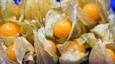 Mavi arka planda yenilebilir bitki salatasının sarı meyveleri. Seçici odaklanma. Vejetaryen yemeği. Sağlıklı yaşam tecrübesi. Sebze tarifi. Beyaz arka plan. Organik gıda konsepti. 