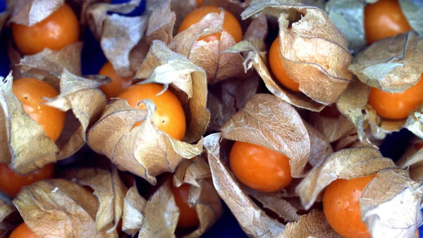 Mavi arka planda yenilebilir bitki salatasının sarı meyveleri. Seçici odaklanma. Vejetaryen yemeği. Sağlıklı yaşam tecrübesi. Sebze tarifi. Beyaz arka plan. Organik gıda konsepti. 