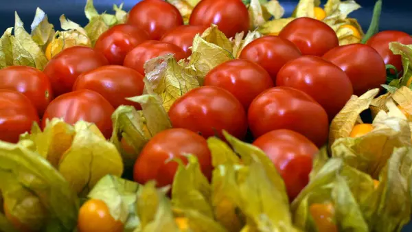 Culinair Reizen Letse Keuken Kleine Rode Kerstomaten Gele Vruchten Van — Stockfoto