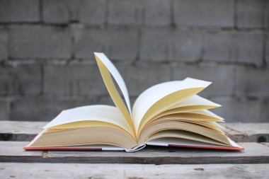 Bir ahşap kutunun kitabını aç.