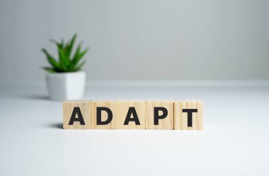 Yapı taşlarından yapılmış ADAPT kelimesi, konsepti değiştir