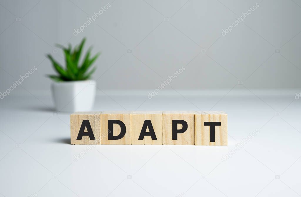ADAPT word made with building blocks, change concept