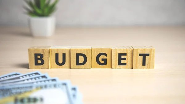 Budget Woord Geschreven Houtblok Bedrijfsconcept — Stockfoto