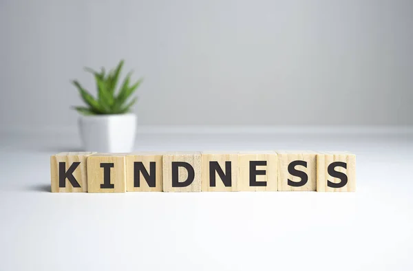 KINDNESS - harfli ahşap bloklardan kelimeler, KINDNESS konsepti, üst görünüm arkaplanı