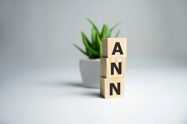 The word ANN Artificial Neural Network on wooden cubes. White background