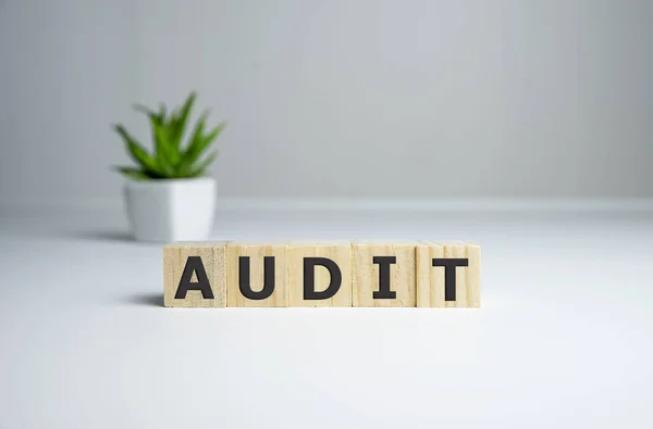 Ahşap blok üzerine yazılmış AUDIT kelimesi, iş konsepti