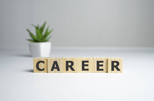 Career adviser assembling the word career with wooden cubes in a conceptual image of personal guidance towards self realization.