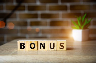 BONUS sözcük tuğla zemin üzerinde yapı taşları ile yapılır