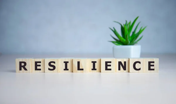 Resilienz Wortkonzept Auf Würfeln Auf Blauem Hintergrund — Stockfoto