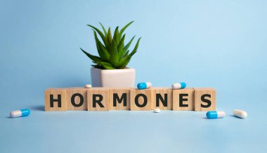 Mavi arka planda Hormonlar kelime küpü. Tıbbi konsept