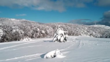 Güzel Kar Manzarası Videosu