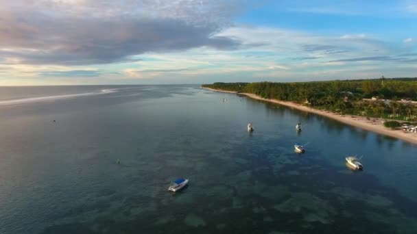 Latanie Wzdłuż Wybrzeża Mauritius Island Resort Area Zielonymi Palmami Łodzie — Wideo stockowe