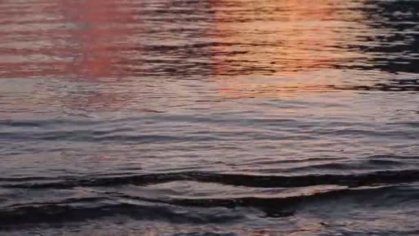 フィリピンのパラワン州エルニドの日没時のフィールドの浅い深さのスローモーション波を閉じる — ストック動画