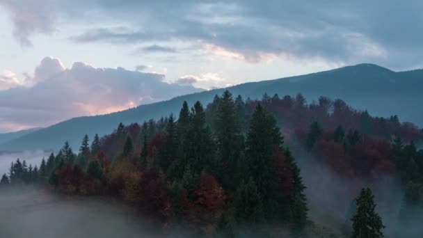 Zeitraffer Des Sonnenaufgangs Herbst — Stockvideo