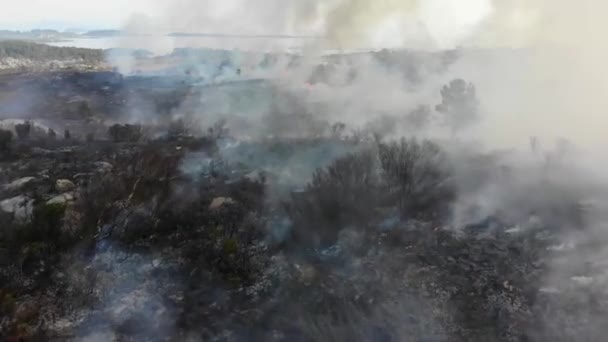 Aerial Epic Wildfire Katastrof Brinnande Gräs Och Mark Brandmän Och — Stockvideo