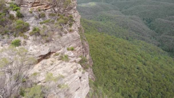 Parque Nacional Das Montanhas Azuis — Vídeo de Stock