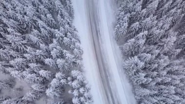 Kış Ormanı 'ndaki Yol Hava Görüntüsü